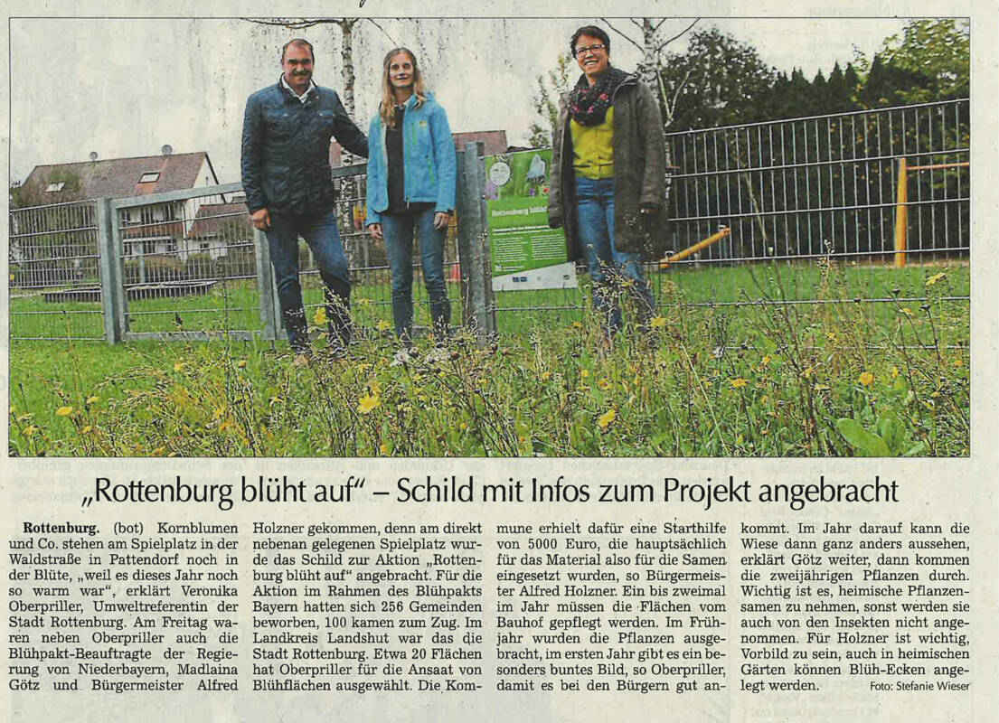 Bild Blühfläche