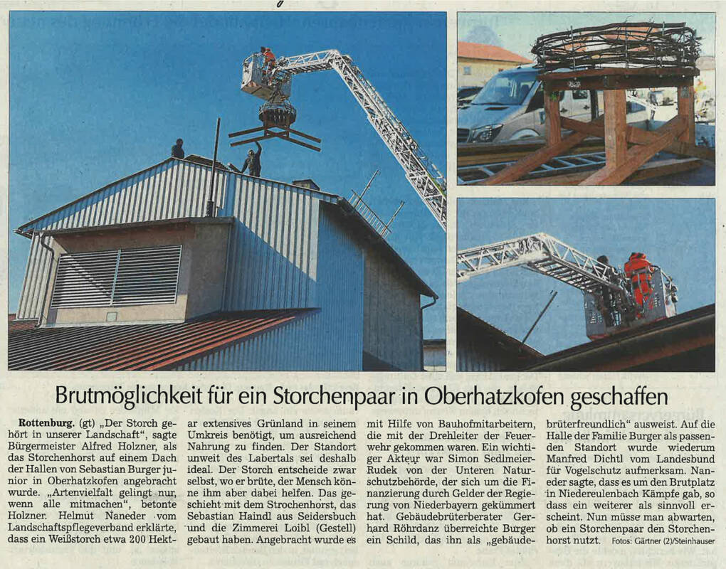 Storchennest Zeitungsartikel