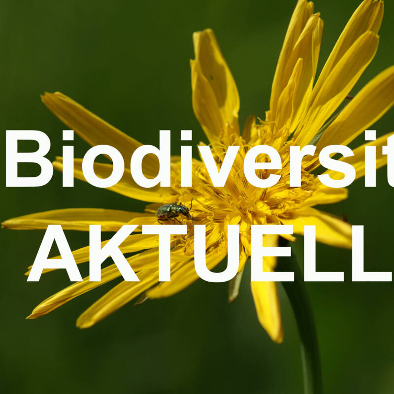 Biodiversität AKTUELL Logo